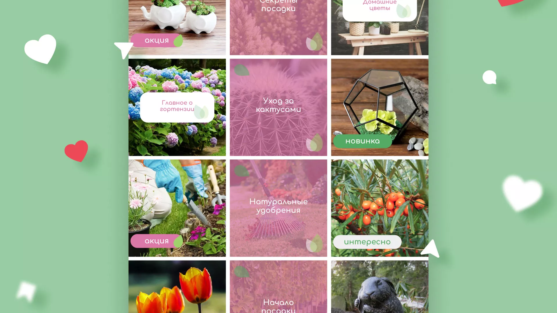 Разработка оформления профиля Instagram для магазина «Floraint» в Губкинском